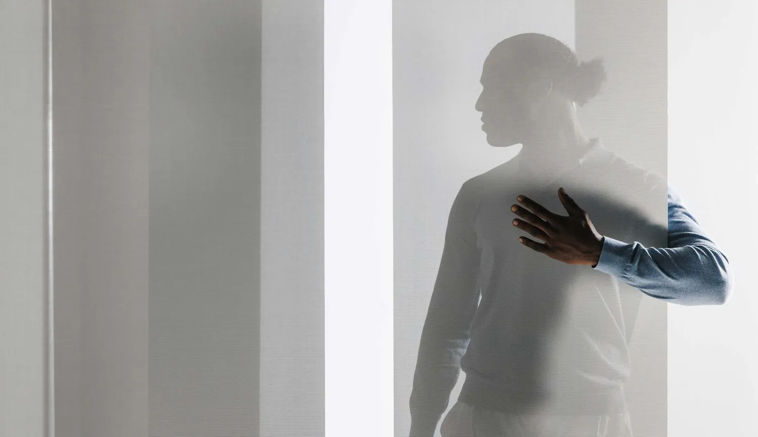 foto estores enrollables m-screen Foto de trasluz 1 de M-Screen